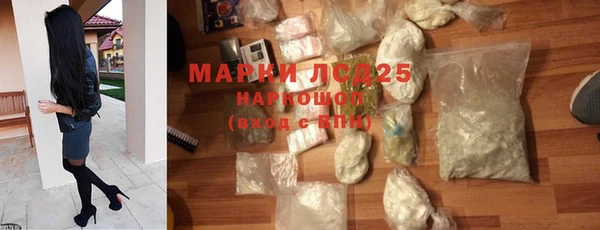 СК Зеленодольск