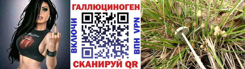 Галлюциногенные грибы MAGIC MUSHROOMS  Купить  Зея 