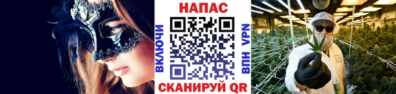 Бошки Шишки OG Kush  Купить закладки  Зея 